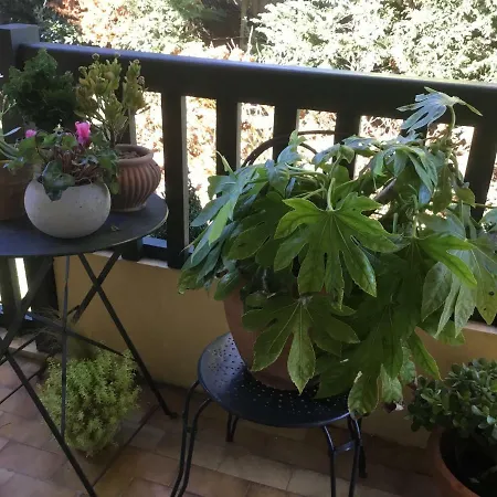 Au Balcon Fleuri Apartmán