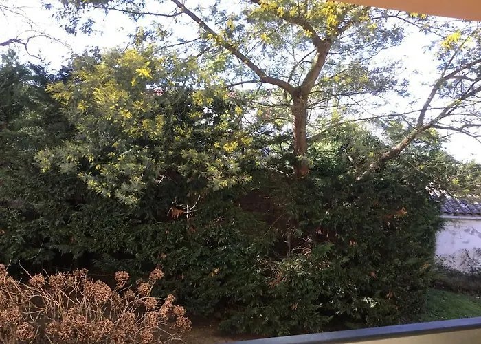 Appartamento Au Balcon Fleuri Anglet