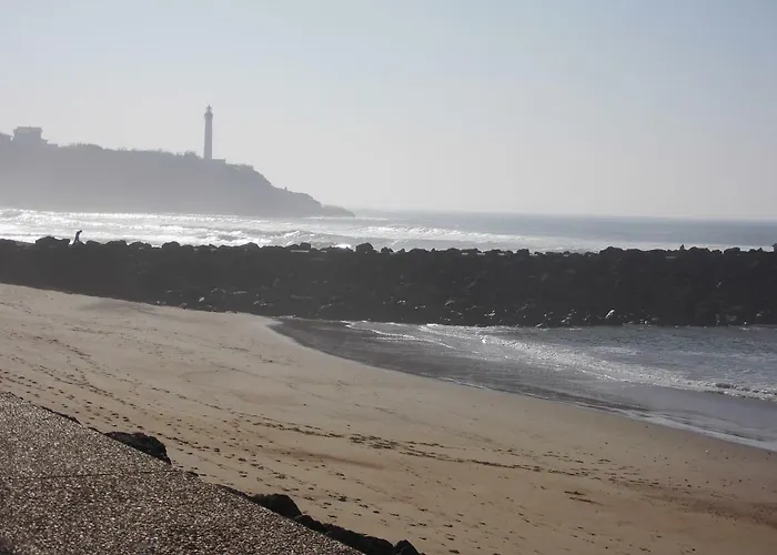 Appartement Au Balcon Fleuri Anglet